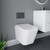 A modern wall hung toilet including concealed cistern and flush plate