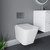 A modern wall hung toilet including concealed cistern and flush plate
