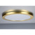 Forum Spa Tauri Satin Brass 293mm Magnetic Ring Trim for X Large 24w 5 in 1 Wall/Ceiling Light - SPA-35721 Front View