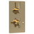 Hudson Reed Tec Pura Brushed Brass Twin Thermostatic Shower Valve with Diverter - A8007 Main View