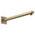 Nuie Brushed Brass Small Rectangular Shower Arm - ARM813 Main View