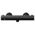 Colore Round Matt Black Thermostatic Bar Shower Valve View From the Front