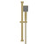 Colore Square Brushed Brass Shower Slide Rail Kit Front View