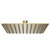 Colore Square Brushed Brass 200mm Thin Fixed Shower Head Front View