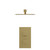 Colore Square Brushed Brass Concealed Twin Thermostatic Shower Valve and 300mm Thin Square Fixed Head with Wall Arm - 1 Outlet Front View