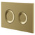 Pavia Colore Brushed Brass Dual Flush Plate with Round Buttons Right Hand View