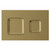 Vienna Colore Brushed Brass Dual Flush Plate with Square Buttons View from Front