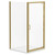 Niva 6 Brushed Brass 800mm x 900mm Pivot Door Shower Enclosure Left Hand View