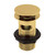 Nuie Brushed Brass Slotted Push Button Basin Waste - ER807 Main Image