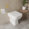 Back to Wall Toilets