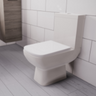 Close Coupled Toilets