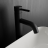 Black Taps