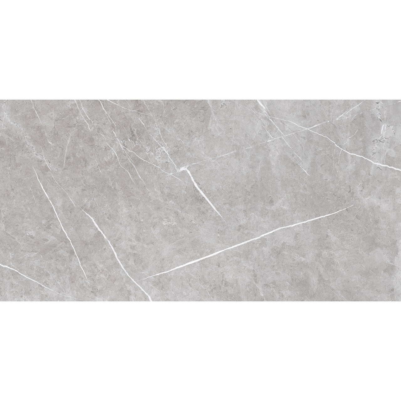 Theatre Porcelain Wall and Floor Tile