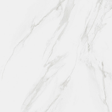 Rak Ceramics Carrara Grey Classic Matt Porcelain Wall And Floor Tile | | 120Cm X 120Cm