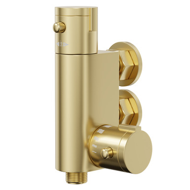 Colore Brushed Brass Vertical Thermostatic Bar Valve | | 81Mm X 163.7Mm X 88Mm