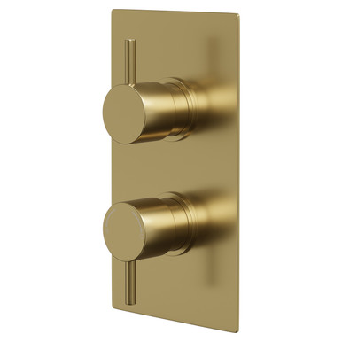 colore_round_brushed_brass_concealed_twin_thermostatic_shower_valve_with_diverter_-_2_outlets_right__56832.1699633805.386.513.jpg?c=1