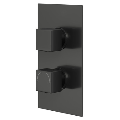 Colore Gunmetal Grey Square Concealed Twin Thermostatic Shower Valve | | Brass | 120Mm X 215Mm X 47Mm