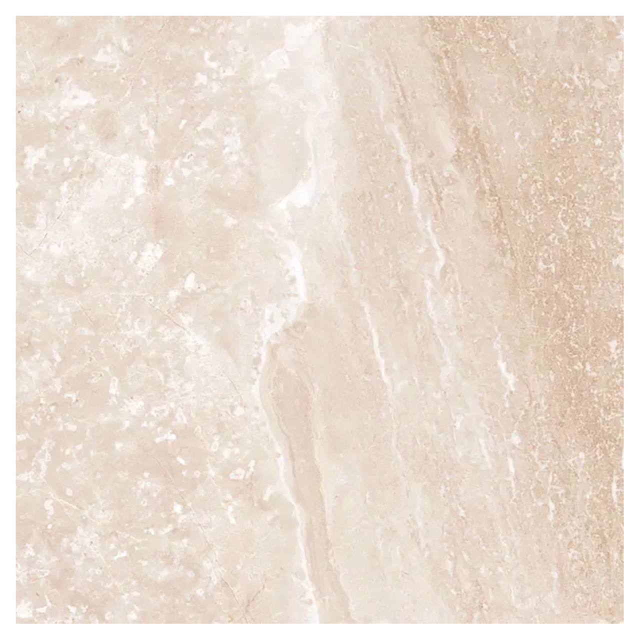 Antiqua Porcelain Wall and Floor Tile