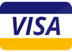 Visa Logo