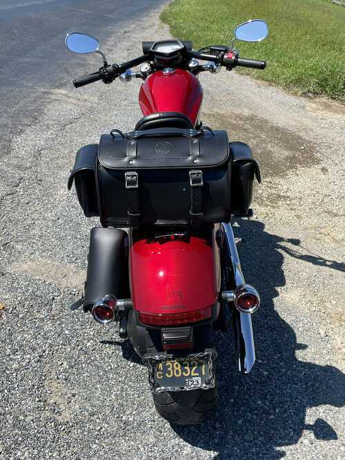 Sissy bar bag