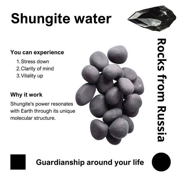 Raw Shungite - Tumbled