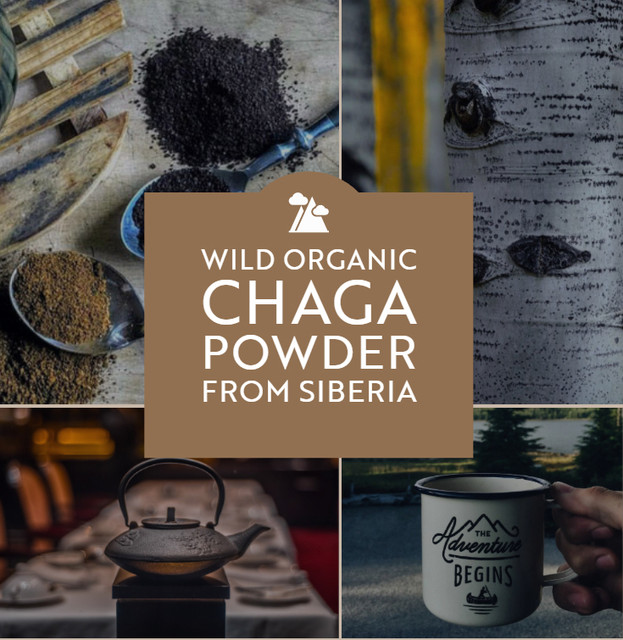 Chaga tea powder Wild Lumberjack keled.com