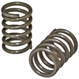 Valve Spring (Part #66)