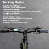 Zeda Bridger Electric Hybrid Bike - 350 Watt 48 Volt eBike - 26 Inch Wheels