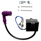 CDI ignition, purple cap, black wire, black body with mounting hardware on white background