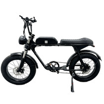 Zeda Beartooth All-Terrain Electric Bike - 500 Watt 48 Volt eBike - 20 Inch Fat Tires 