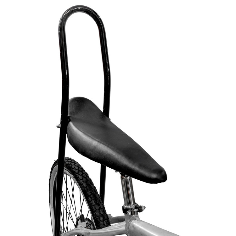 Banana Seat and Sissy Bar