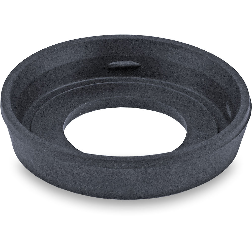 Swissmex Replacement Pump Plunger | Sprayer Parts
