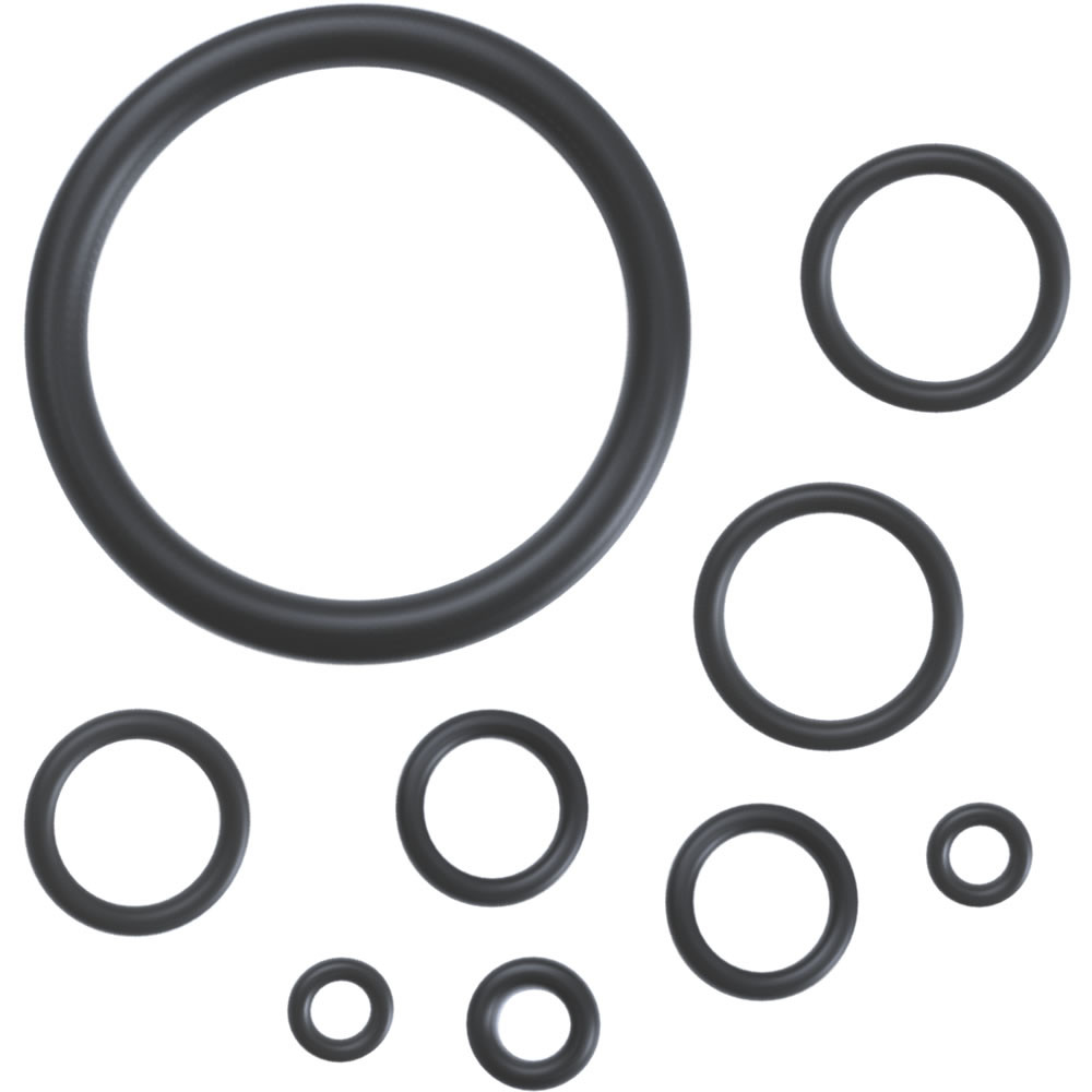 Swissmex Acids Replacement O-Ring Kit | Sprayer Parts