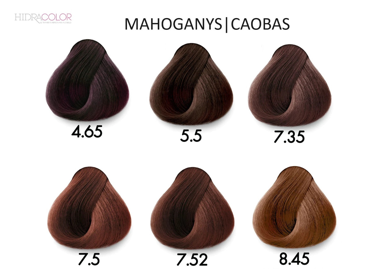 Hidracolor Creme Color Mahogany Shades - My Salon Express