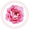 Embroidery Kit - Peony