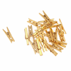 Metallic Gold Mini Pegs (20pc)