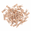 Natural Wood Mini Pegs (45pc)