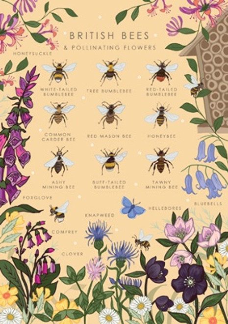 British Bees Blank Card British Bees Blank Card