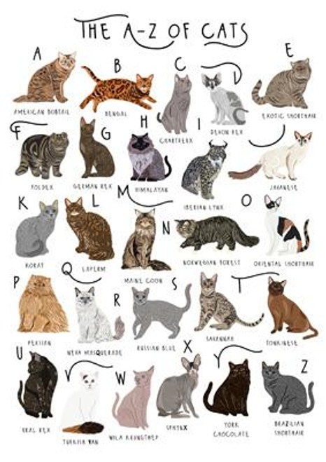 The A-Z of Cats Greeting Card The A-Z of Cats Greeting Card