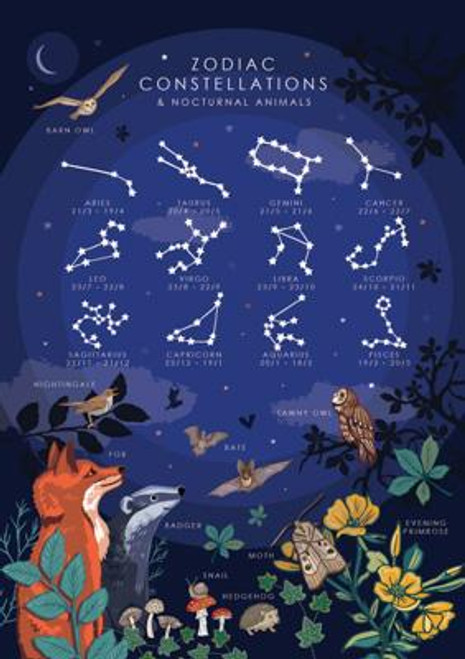 Zodiac Constellations and Nocturnal Animals Greeting Card Zodiac Constellations and Nocturnal Animals Greeting Card