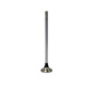 CUMMINS 4101454 - EXHAUST VALVE - OEM part - Image 2