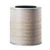 FLEETGUARD AF25007 - PACK AIR FILTER - FLEETGUARD OEM part
