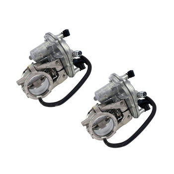 ONAN Cummins 5566641 EXHAUST THROTTLE VALVE Pack(x2)
