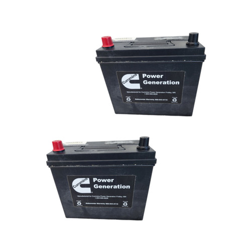 ONAN Cummins A052Y816 BATTERY Pack(x2)
