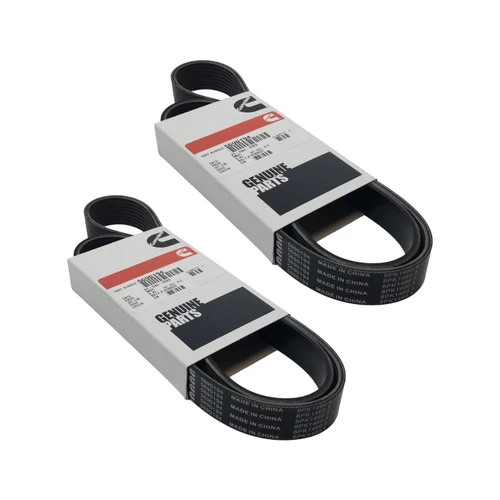 ONAN Cummins 5690194 V RIBBED BELT Pack(x2)