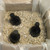 Vermiculite 4A - Extra Coarse (Each of 4)