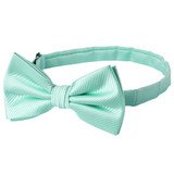 Banded Corded Bow Tie - Aqua