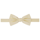 Men's Tone on Tone Metallic Pre-Tied Bow Tie - Champagne