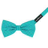 Banded Polka Dot Bow Tie - Teal
