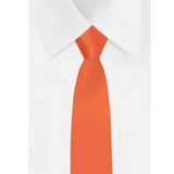 Young Boys' Solid Color 11 inch Pre-Tied Zipper Neck Tie - Orange